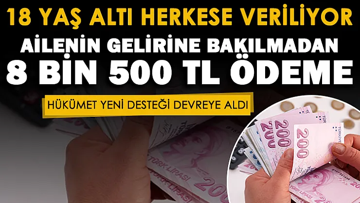 Devlet yeni desteği devreye aldı! 18 yaş altındaki tüm çocuklara ailenin gelir durumuna bakılmadan 8 bin 500 lira ödeme veriliyor