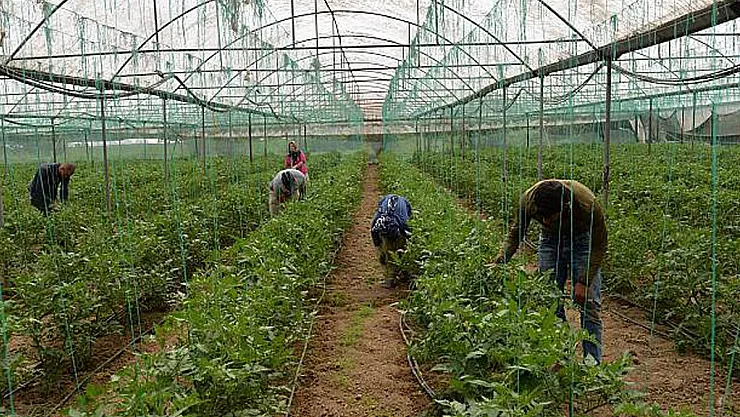 Devletten 2021 yılında 50 bin kişiye istihdam müjdesi!