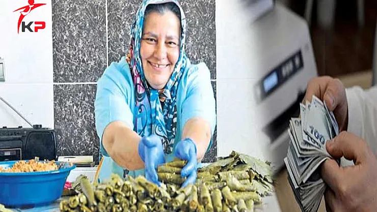 Devletten Ev Hanımlarına 15 Bin TL Destek Veriliyor