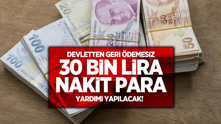 Devletten geri ödemesiz 30 bin lira nakit para yardımı yapılacak!