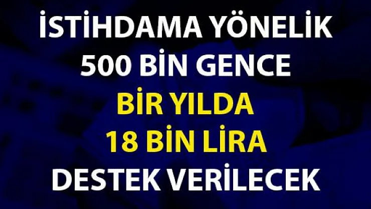 Devletten maaş desteği geliyor! Her bir genç için 18 bin lira maaş desteği
