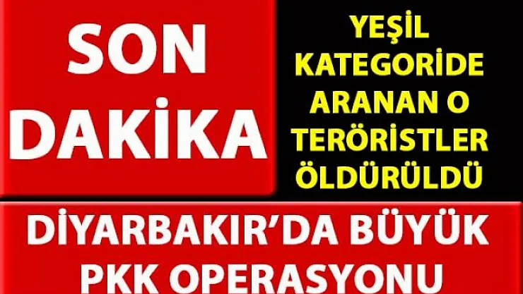 Diyarbakır Hazro'da yapılan PKK operasyonunda en çok arananlar listesinde ki 2 terörist öldürüldü