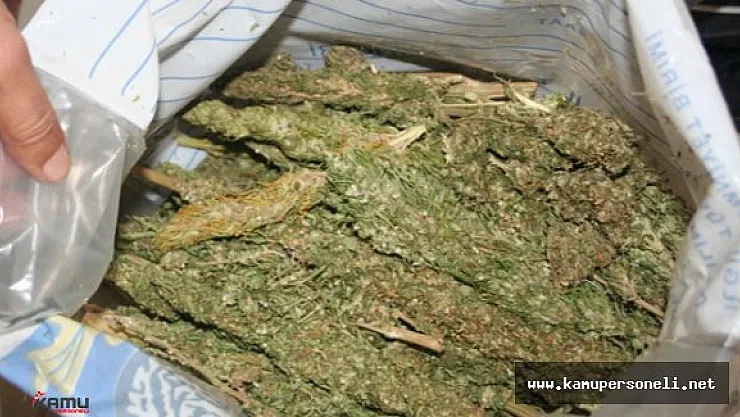 Diyarbakır'da 77 Bin 593 Kök Hint Keneviri ile 100 Kg Esrar Ele Geçirildi