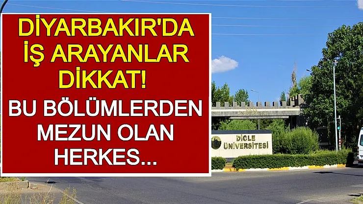 Diyarbakır'da İş Arayanlar Dikkat! Bu Bölümlerden Mezun Olan Herkes Alınacak!