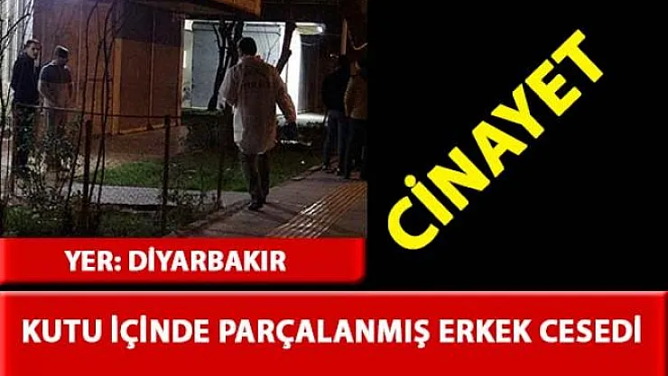 Diyarbakır'da, kutu içerisinde parçalanmış erkek cesedi bulundu