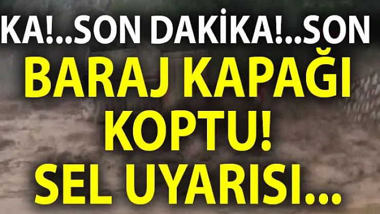 Diyarbakır'de sel uyarısı! Yağış nedeniyle Eğil'de Kral Kızı Barajı'nın kapağı koptu