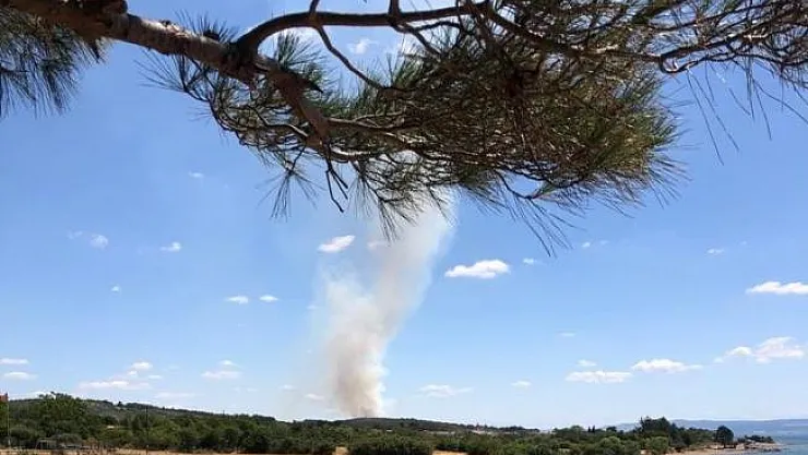 Doğal gaz limanı yapılmak istenen alanda ikinci orman yangını!