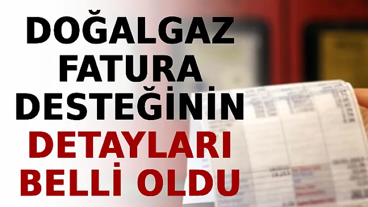Doğalgaz Fatura Desteğinin Detayları Belli Oldu! Başvurular e-Devlet'ten Yapılacak