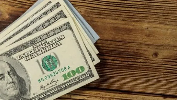 Dolar Bir Kez Daha Yükseldi ! 1 Dolar Kaç TL?