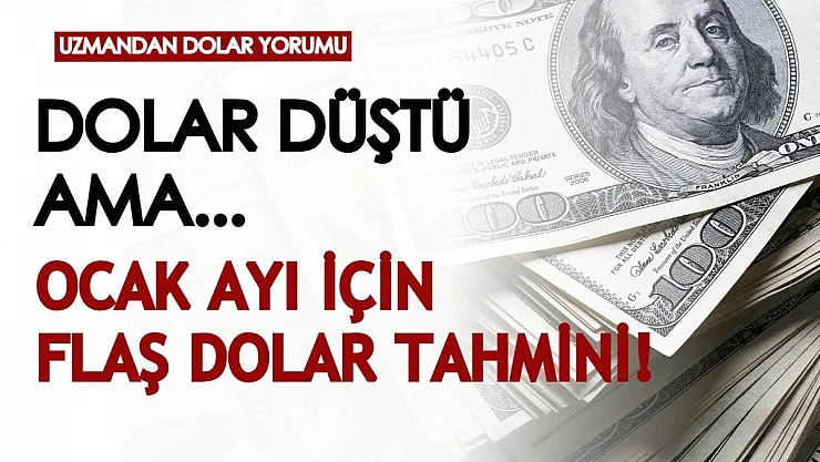Dolar düştü ama... Ünlü ekonomistten Ocak ayına ilişkin dolar yorumu geldi, doların düşüşü devam edecek mi?