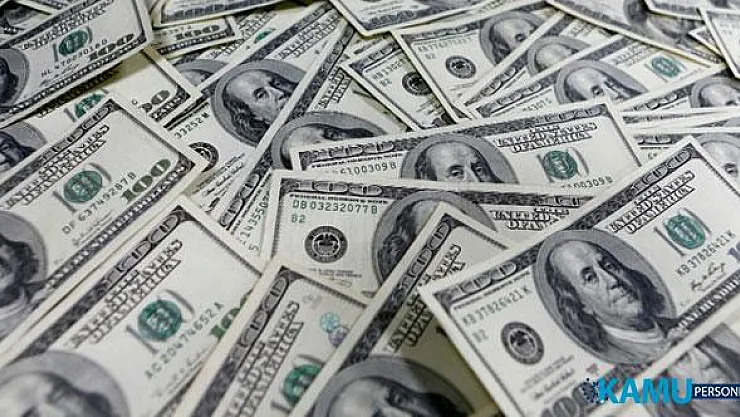 Dolar Fiyatları Son Bir Ayın En Yüksek Seviyesine Çıktı! 20 Ağustos Dolar Ne Kadar? Dolar Neden Yükseliyor?