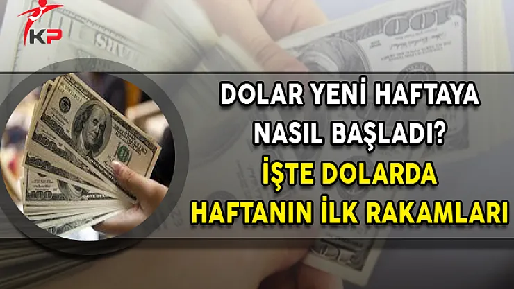 Dolar Haftaya Normal Seyrinde Başladı (Dolar Ne Kadar?)