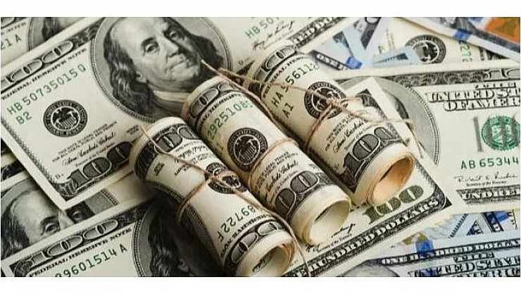 Dolar kritik seviyelere ulaştı!