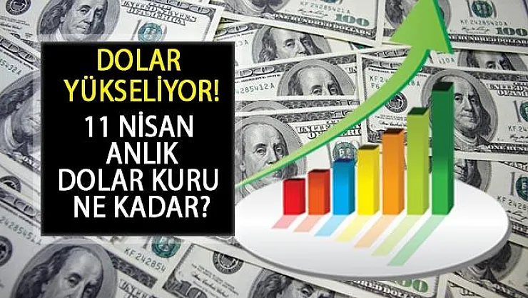 Dolar Yükseliyor! 11 Nisan 2019 Canlı Dolar Kuru Kaç TL?