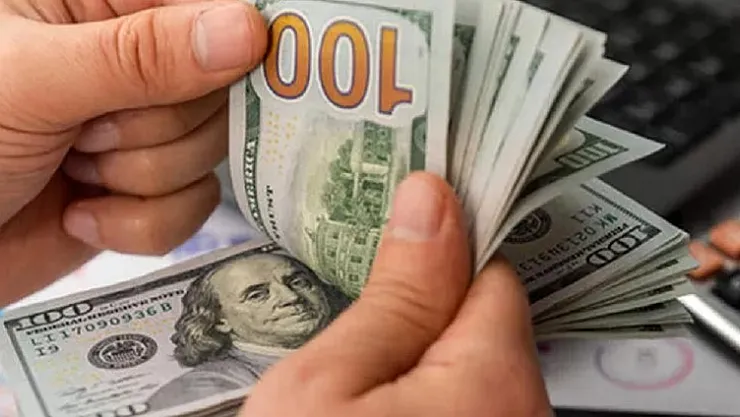 Dolara yatırım yapanlar dikkat: Acil gündeme alınmazsa dolar 24 TL olacak