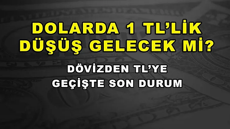 Dolarda 1 TL'lik düşüş gelecek mi? Dövizden TL'ye geçişte son durum