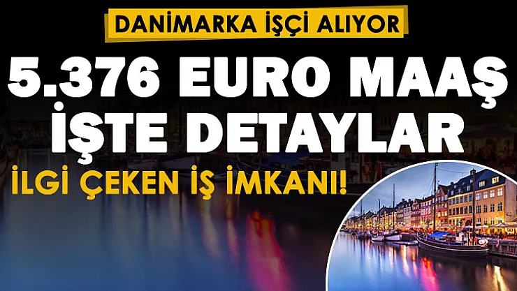 Dövizin bir hayli arttığı dönemde yurt dışı ilanı dikkat çekti! Danirmarka Türkiye'den işçi alıyor: 5 bin 376 Euro maaş verilecek