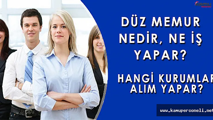 Düz Memur Nedir? Hangi Kurumlara Yönelik Düz Memur Alımları Yapılır?