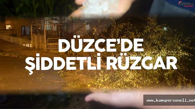 Düzce'de Ağaçlar Devrildi ! Çatılar Uçtu !
