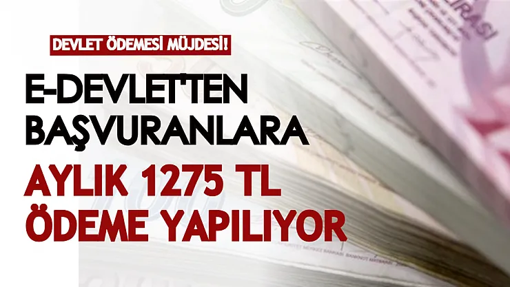 E-devlet'ten başvurana aylık 1275 TL destek! Başvurular Mart ayı sonuna kadar devam ediyor
