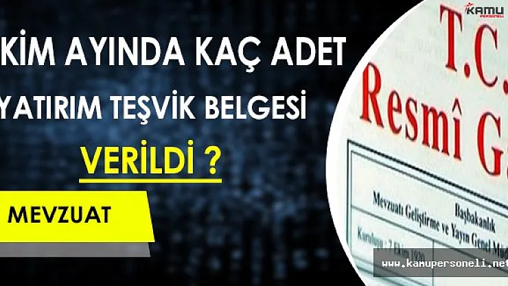 Ekim Ayında Kaç Adet Yatırım Teşvik Belgesi Verildi ?