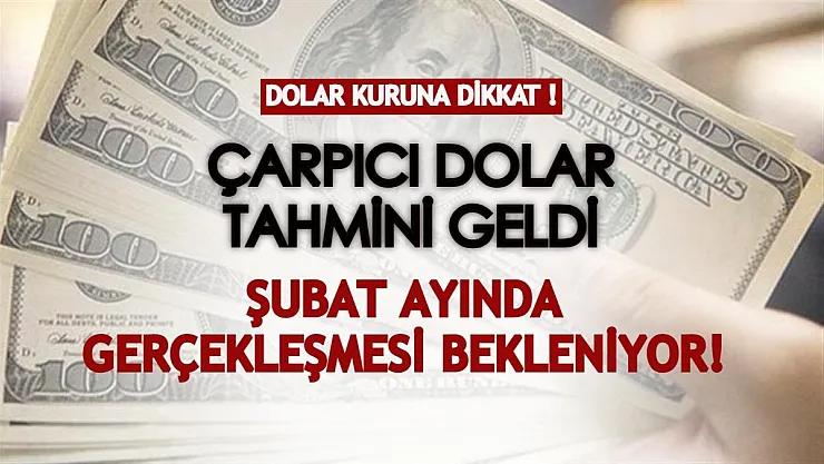 Ekonomistten çarpıcı dolar tahmini! Şubat ayında gerçekleşmesi bekleniyor
