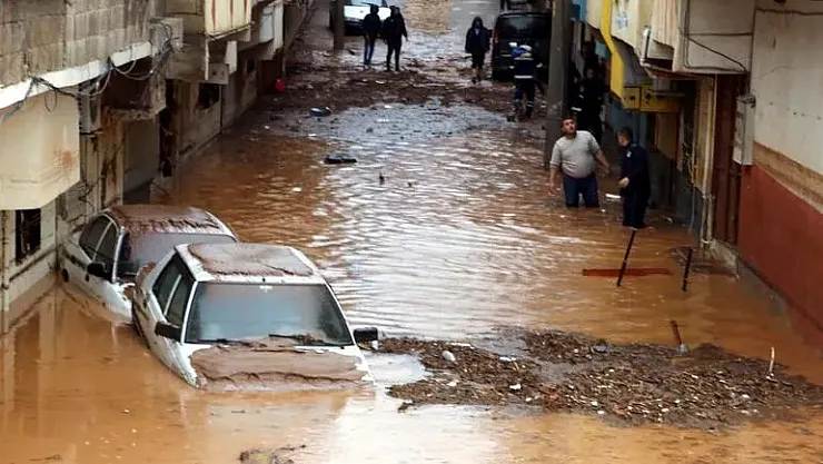 Elinden tutmak yerine videoya kaydetti! Selde canıyla uğraşan adam tıklanma kurbanı oldu!