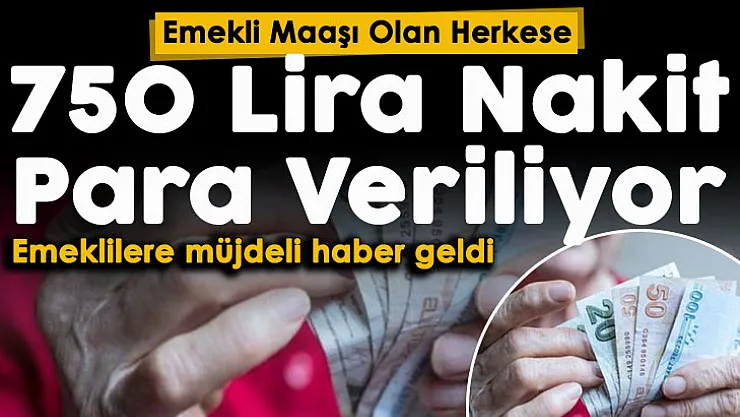 Emekli maaşı olan herkese 750 lira nakit para veriliyor! Büyük destek kampanyası duyuruldu