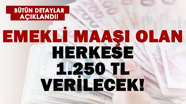 Emekli maaşı olan herkese en az 1.250 TL verilecek!