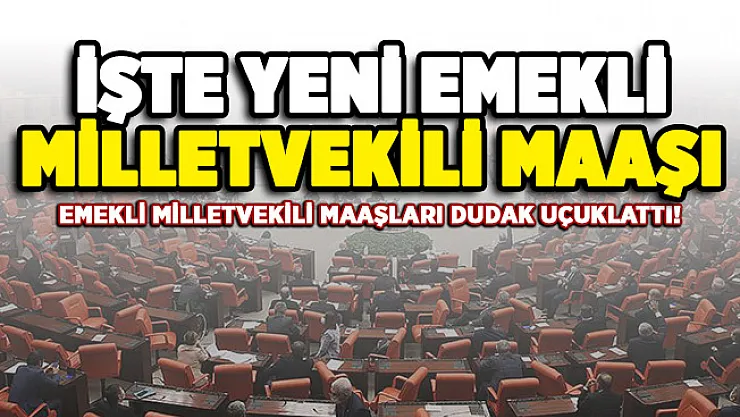 Emekli Milletvekili için belirlenen maaş dudak uçuklattı