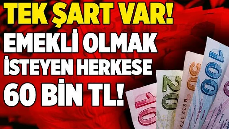 Emekli olmak artık çok daha kolay! Şekerbank emekli olmak isteyenlere tek şartla 60 bin TL kredi veriyor!