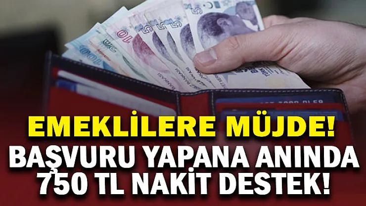 Emeklilere müjdeli haber! Başvuru yapana anında 750 lira nakit destek