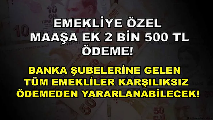 Emekliye özel maaşa ek 2 Bin 500 TL ödeme! Banka şubelerine gelen tüm emekliler karşılıksız ödemeden yararlanabilecek!