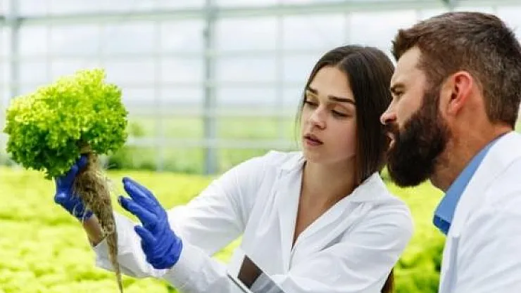 En az lise mezunu ziraat teknikeri alımı yapacak!