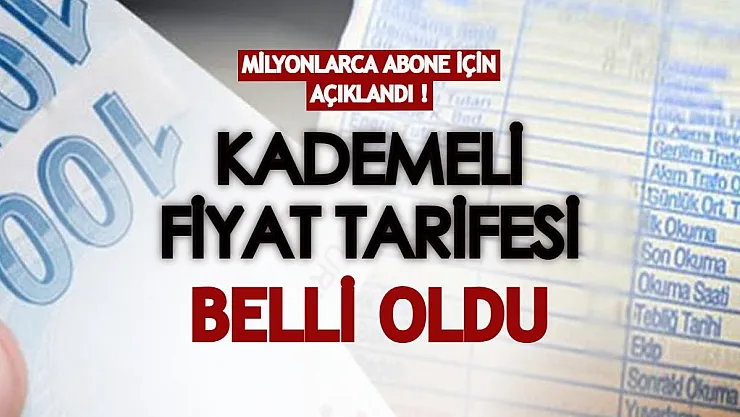 EPDK milyonlarca elektrik abonesi için açıkladı: Kademeli fiyat tarifesi belli oldu!