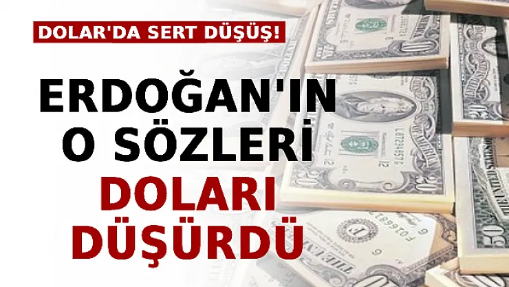 Erdoğan'ın O Sözleri Doları Düşürdü! Dolar'da Sert Düşüş!