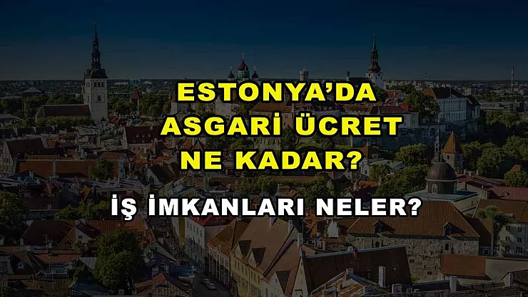 Estonya'da Asgari Ücret Ne Kadar? İş İmkanları Neler?