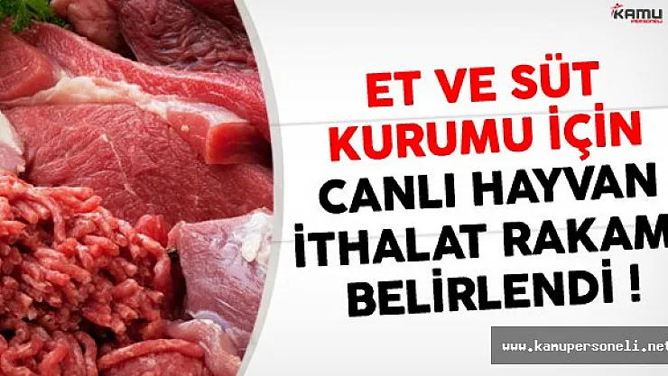 Et Ve Süt Kurumu İçin Canlı Hayvan İthalat Rakamı Belirlendi