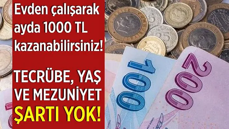 Evden çalışarak ayda 1000 TL kazanabilirsiniz! Tecrübe şartı da yok!
