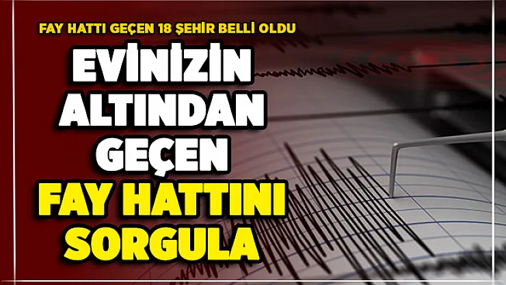Evimin altından fay hattı geçiyor mu? İşte sorgulama ekranı: Bu 18 şehrin altından fay hattı geçiyor