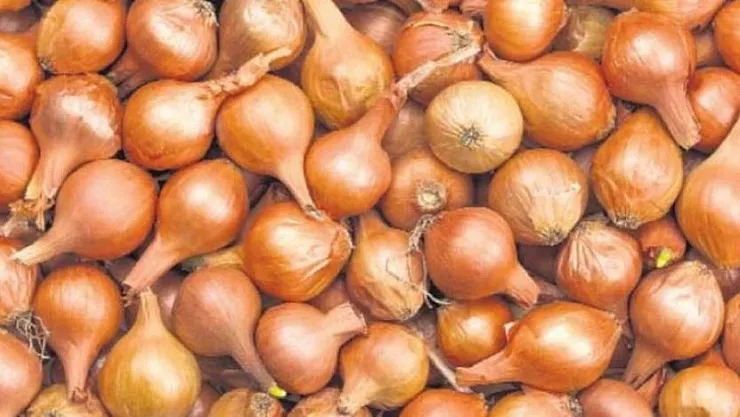 Evine kuru soğan alanlar dikkat! Tarım Bakanlığı'ndan kuru soğan açıklaması geldi: Kilosu 30 TL olmuştu