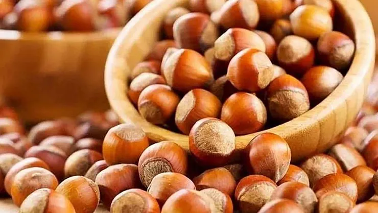 Fındık fiyatı 83 liraya yükseldi