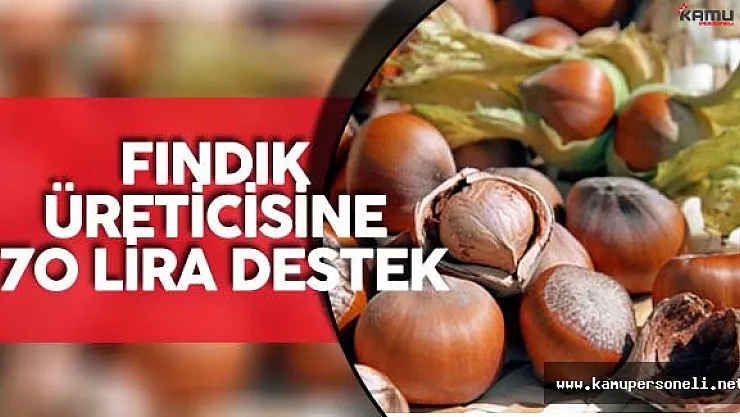 Fındık Üreticileri için Müjdeli Haber ! Tebliğ Resmi Gazete'de Yayımlandı
