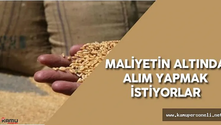 Gaytancıoğlu: &quotBuğday Alım Fiyatı Maliyetin Altında"