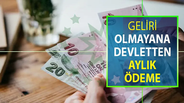 Geliri Olmayan Vatandaşlara Devletten Destek ! Aylık Ödeme Yapılıyor
