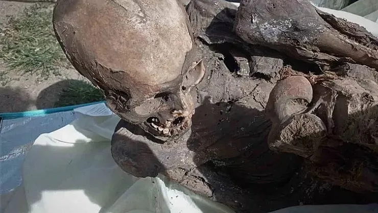 Genç adamın çantasından çıkan ölü beden ülkeyi ayağa kaldırdı! 45 yaşında öldü cesedi 600 yıl mumya olarak bir evde tutuldu!