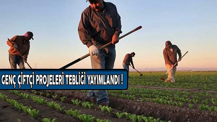 Genç Çiftçi Projelerinin Desteklenmesi Tebliği Resmi Gazete'de Yayımlandı