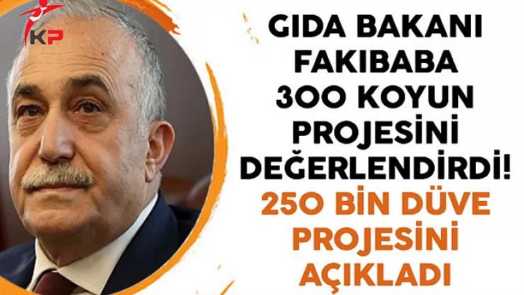 Gıda Bakanı Fakıbaba 300 Koyun Projesini Değerlendirdi! 250 Bin Düve Projesini Açıkladı