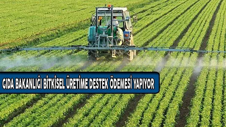 Gıda Bakanlığı Bitkisel Üretime Destek Ödemesi Yapılması Tebliği Resmi Gazete'de Yayınlandı