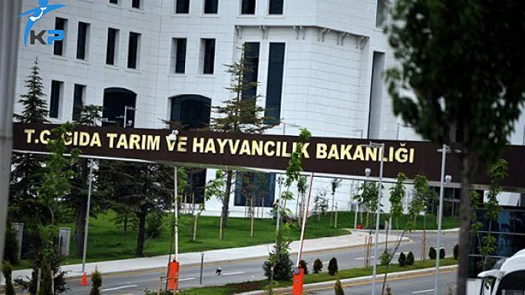 Gıda Tarım ve Hayvancılık Bakanlığı Sözleşmeli Personel Alımı Sonuçları Açıklandı